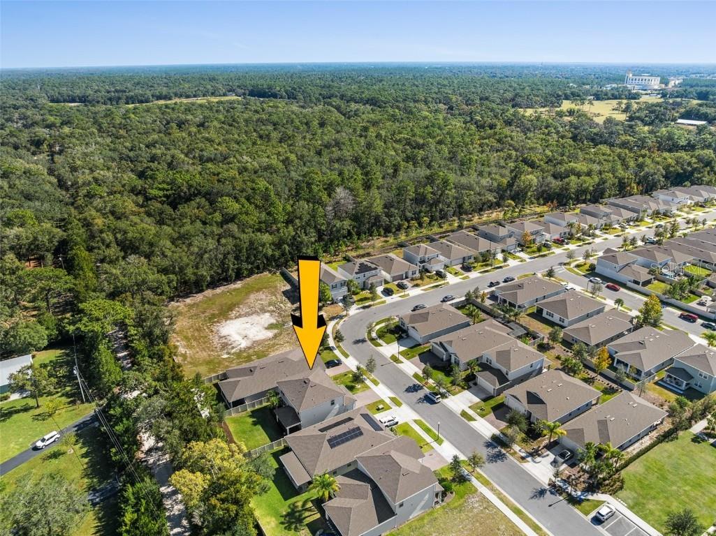 2060 Canopy Terrace Boulevard Deland FL 32724 V4946411 image15