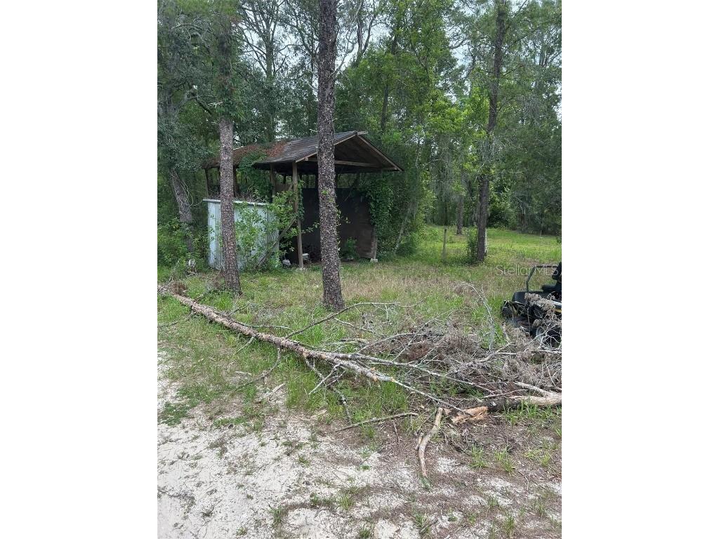 2060 E Mary Lue Street Inverness FL 34453 OM704121 image24