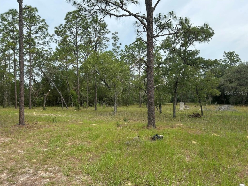 2060 E Mary Lue Street Inverness FL 34453 OM704121 image3