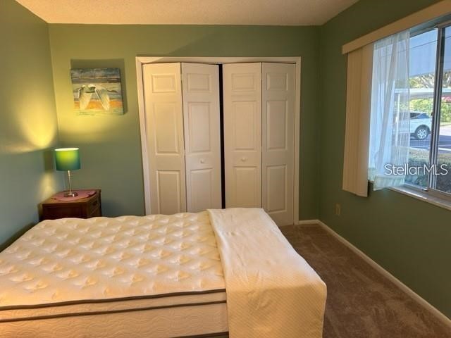 2060 Marilyn Street #124 Clearwater FL 33765 TB8489796 image27