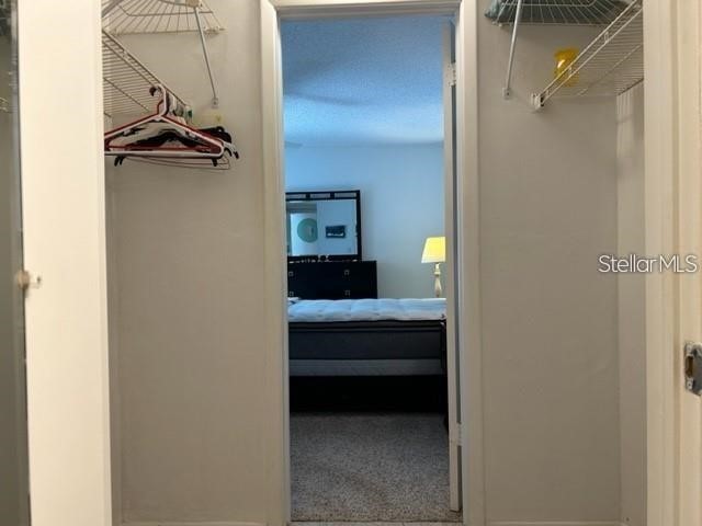 2060 Marilyn Street #124 Clearwater FL 33765 TB8489796 image32