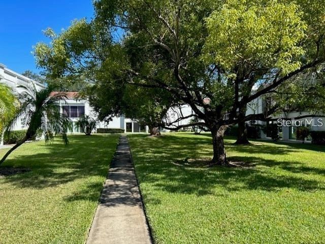 2060 Marilyn Street #124 Clearwater FL 33765 TB8489796 image41