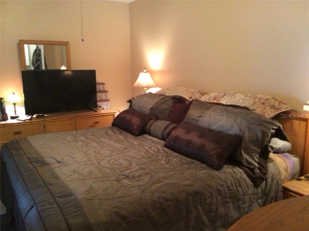 2060 Marilyn Street #133 Clearwater FL 33765 TB8345894 image10