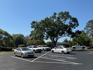 2060 Marilyn Street #133 Clearwater FL 33765 TB8345894 image27