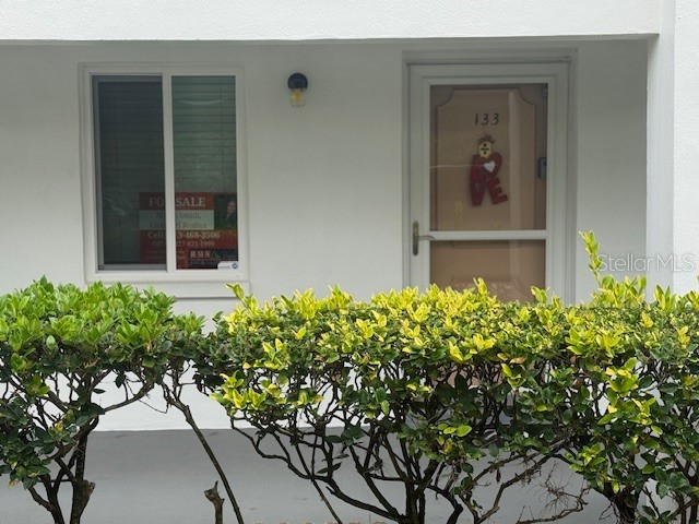 2060 Marilyn Street #133 Clearwater FL 33765 TB8345894 image30