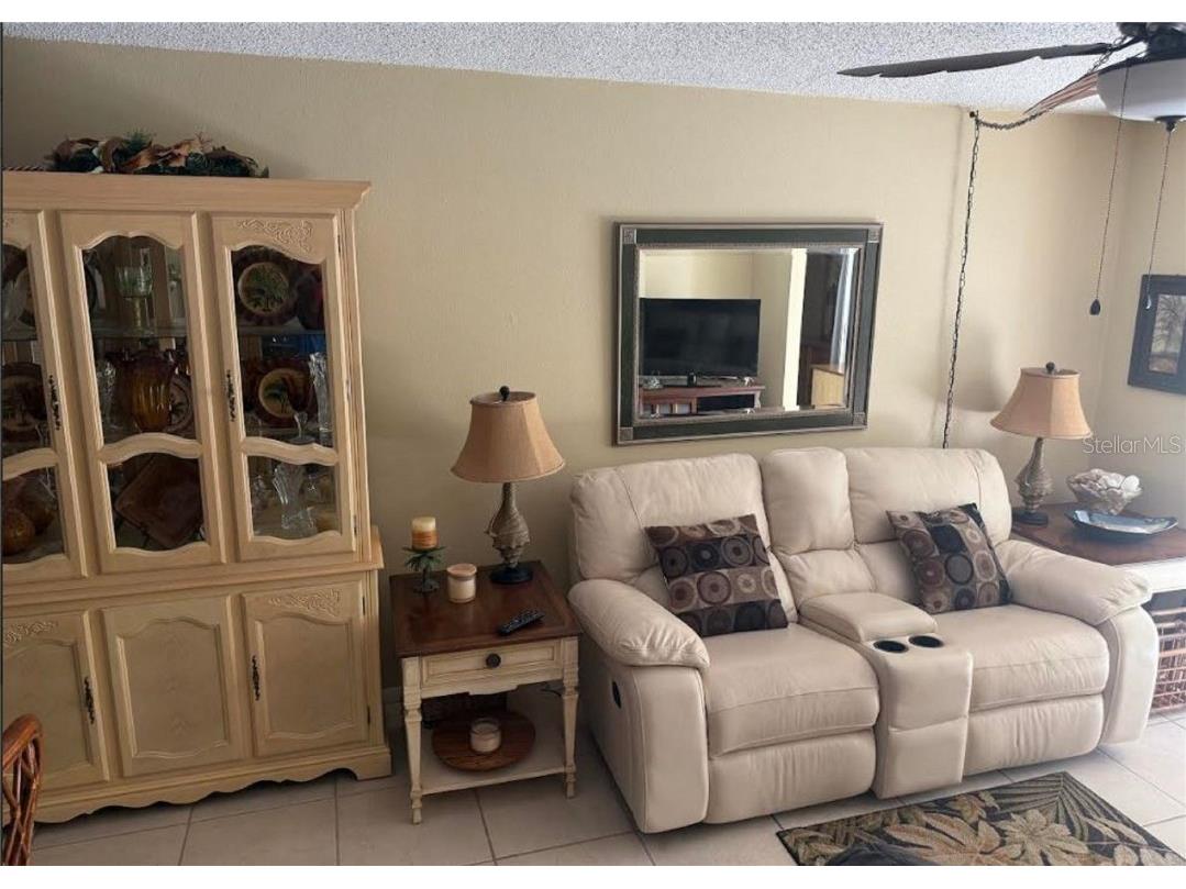 2060 Marilyn Street #133 Clearwater FL 33765 TB8345894 image6