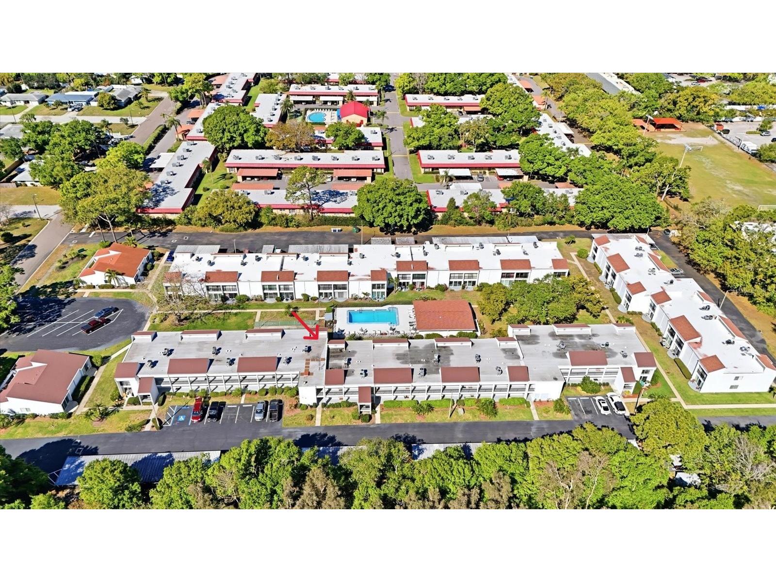 2060 Marilyn Street #211 Clearwater FL 33765 TB8487826 image19