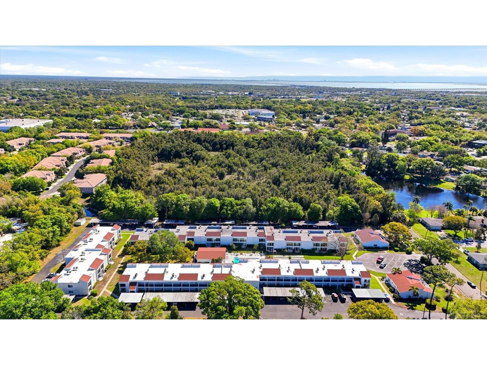 2060 Marilyn Street #211 Clearwater FL 33765 TB8487826 image23