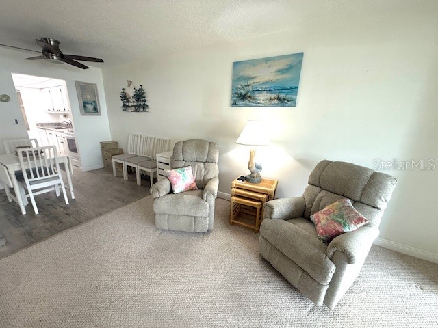 2060 Marilyn Street #214 Clearwater FL 33765 TB8461979 image15