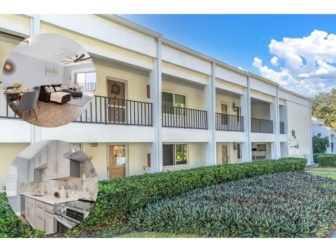 2060 Marilyn Street #241 Clearwater FL 33765 TB8327186 image1
