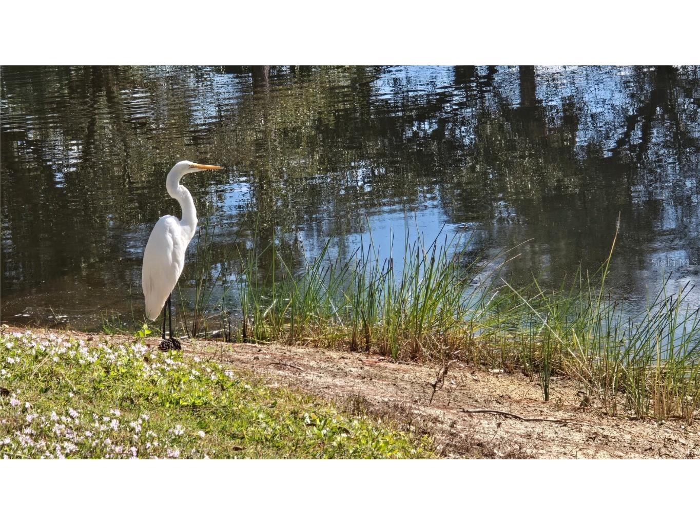 2060 Willow Hammock Circle #201 Punta Gorda FL 33983 C7518061 image39