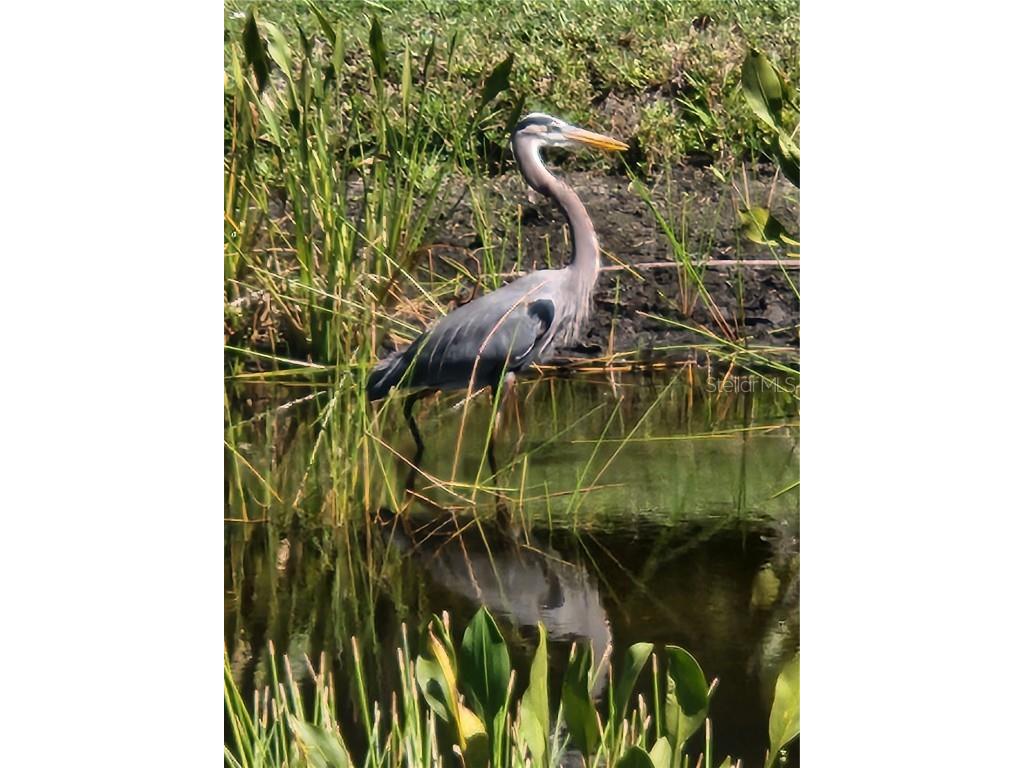 2060 Willow Hammock Circle #201 Punta Gorda FL 33983 C7518061 image58