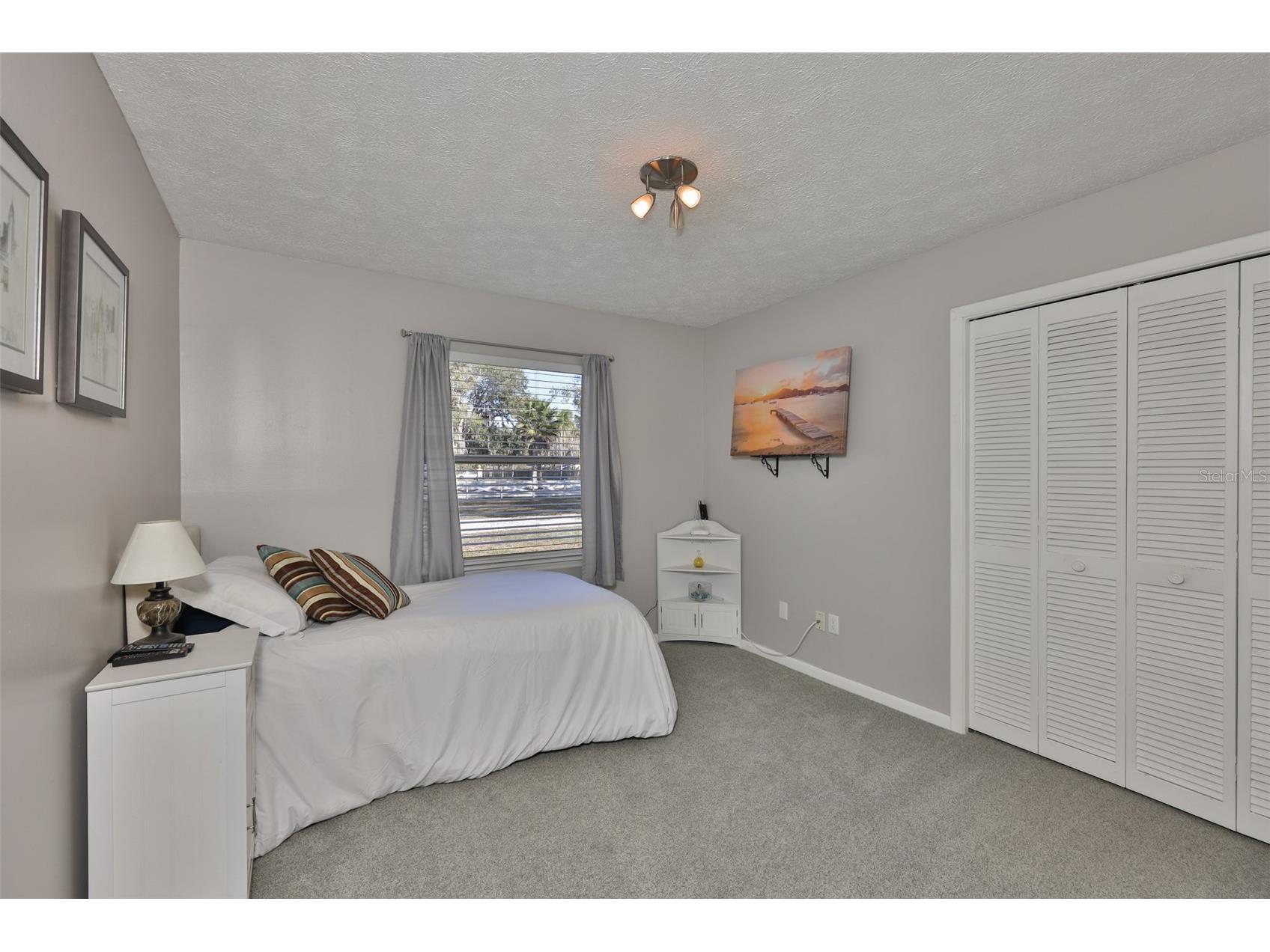 20600 Gardenia Drive Land O Lakes FL 34638 TB8466699 image26
