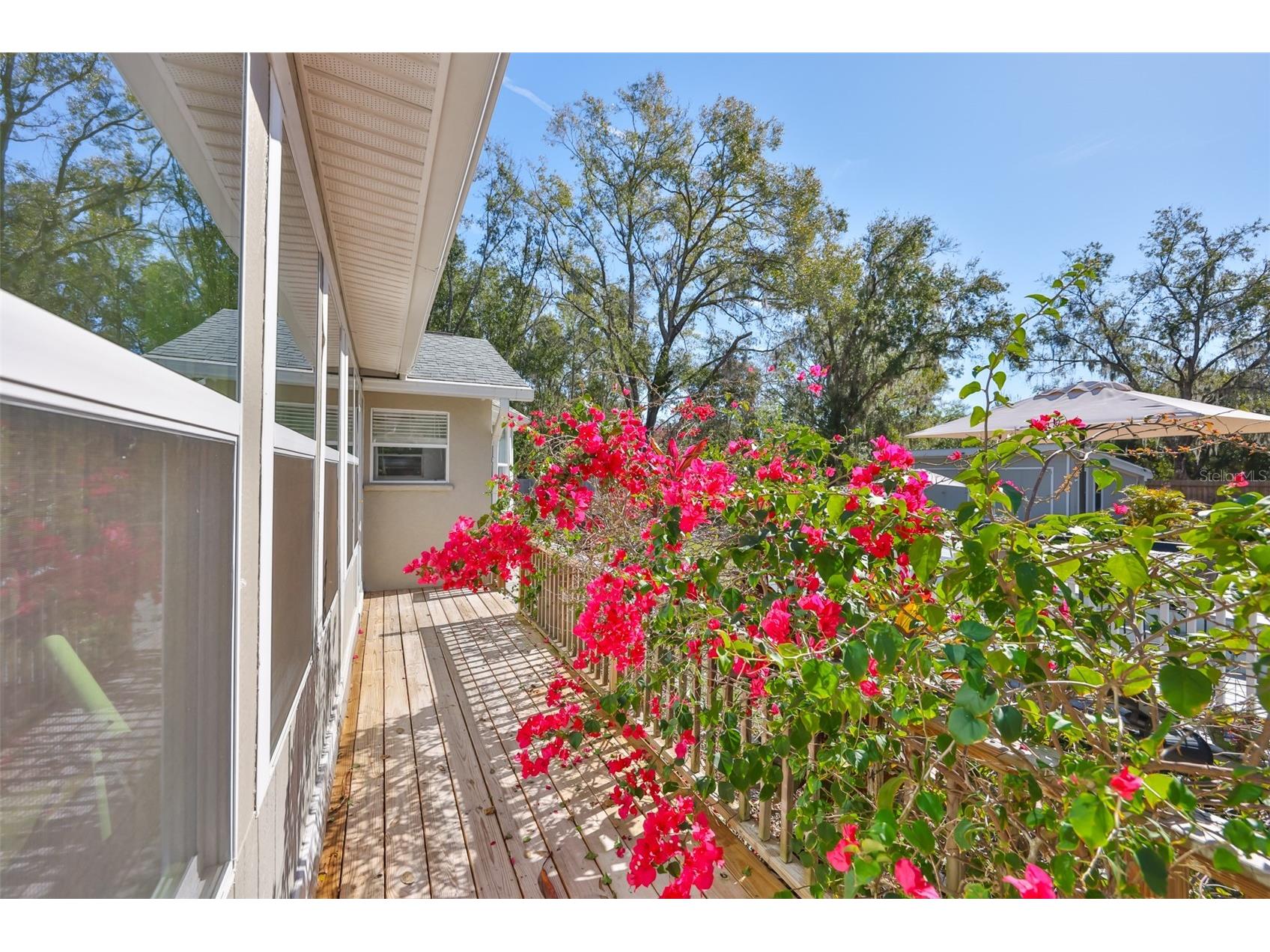 20600 Gardenia Drive Land O Lakes FL 34638 TB8466699 image33
