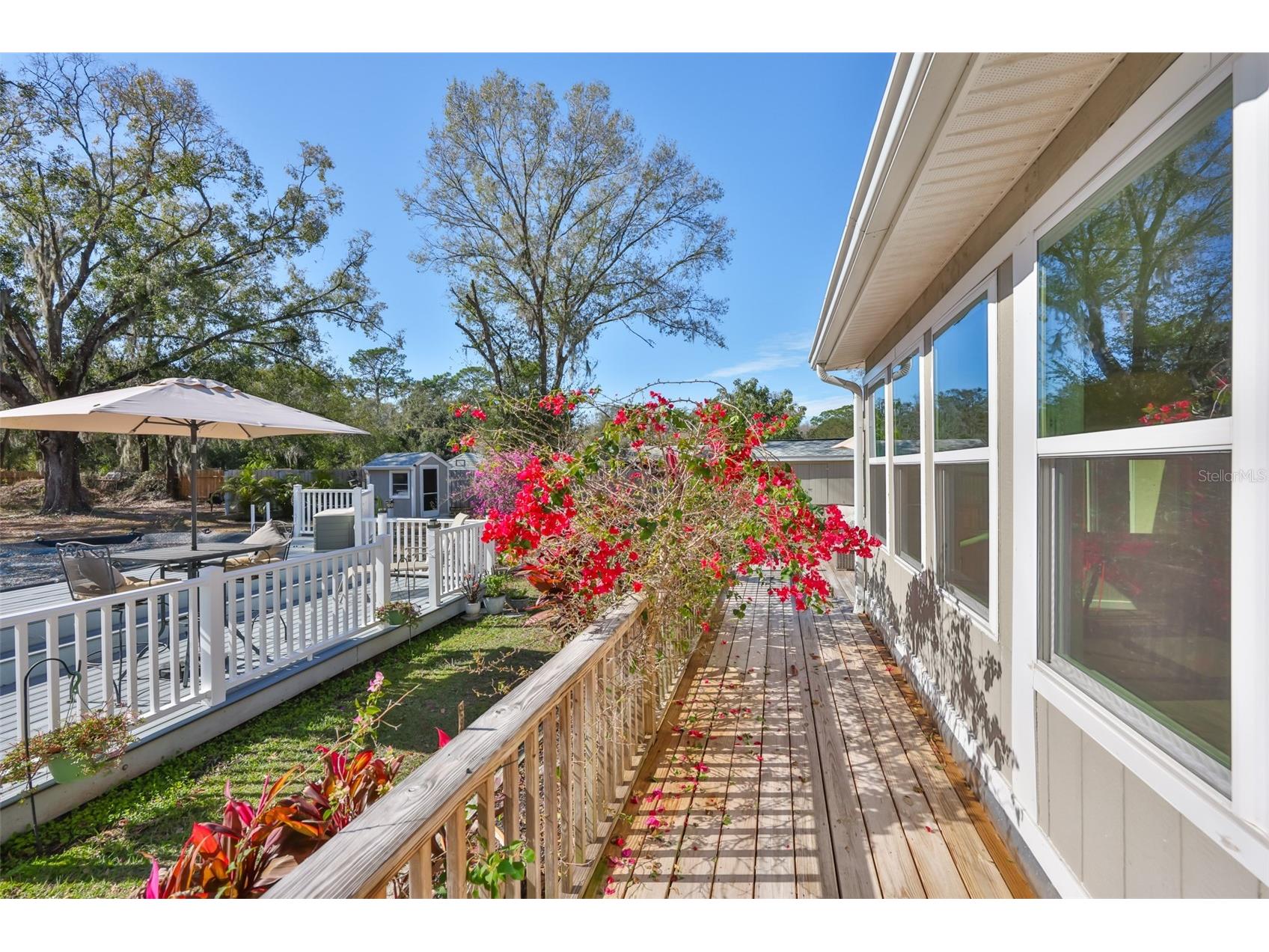 20600 Gardenia Drive Land O Lakes FL 34638 TB8466699 image34