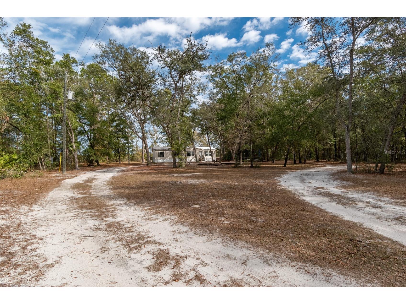 20606 NE 51st Lane Earleton FL 32631 GC537079 image4