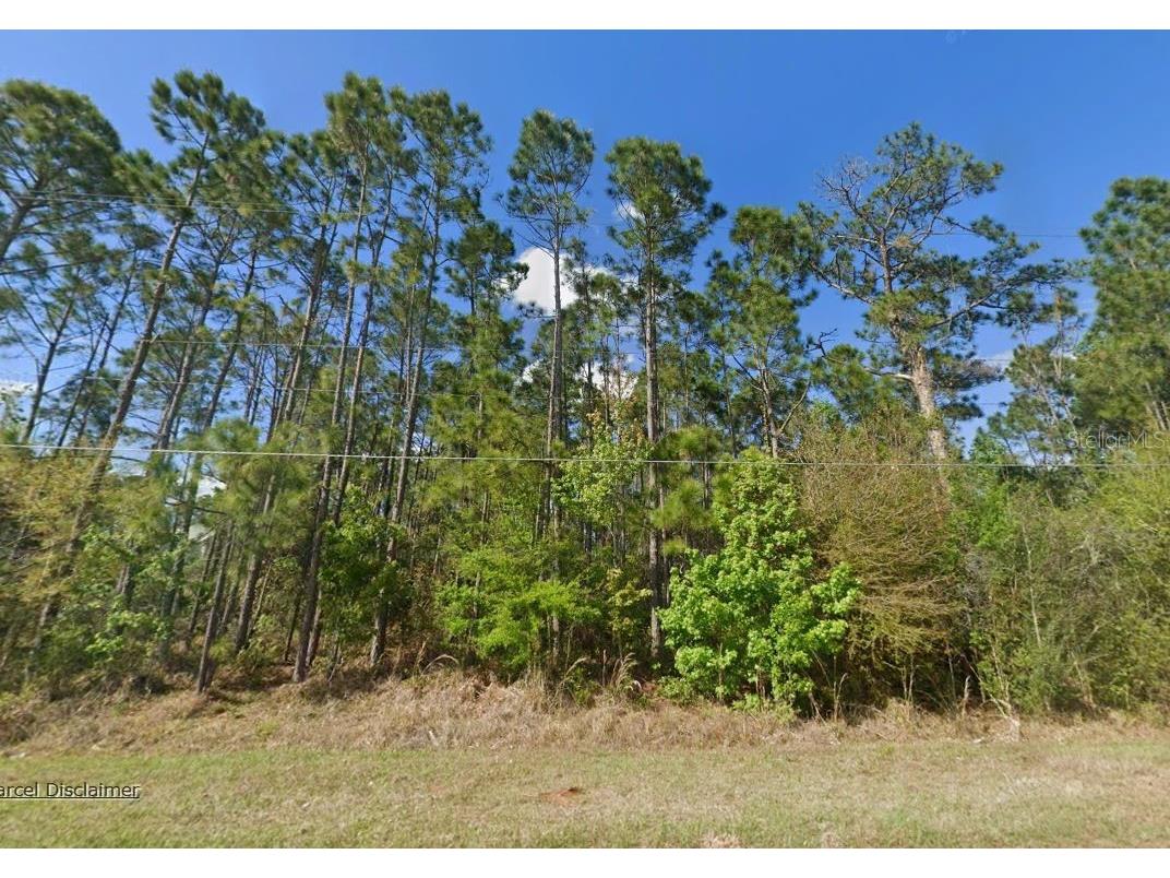 20607 Newby Street Orlando FL 32833 A4699645 image3