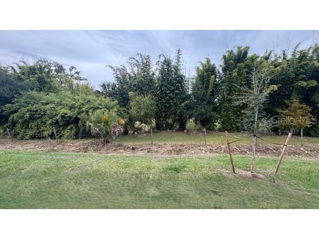 2061 Forage Drive Kissimmee FL 34746 O6358538 image12