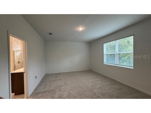 2061 Forage Drive Kissimmee FL 34746 O6358538 image9