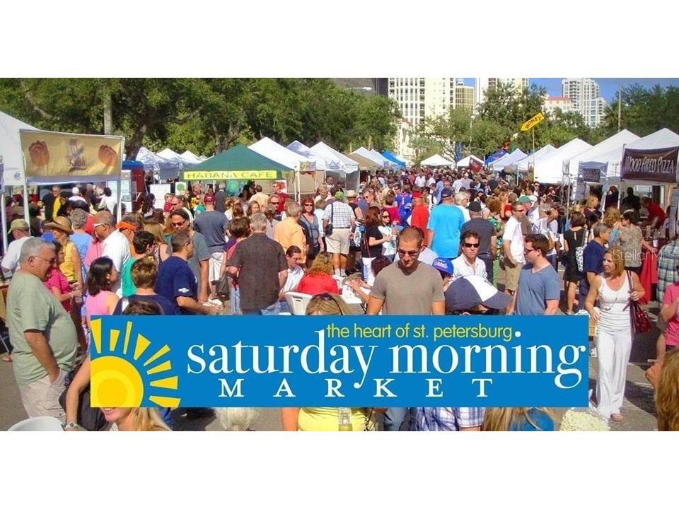 2061 Michigan Avenue NE Saint Petersburg FL 33703 TB8526037 image48