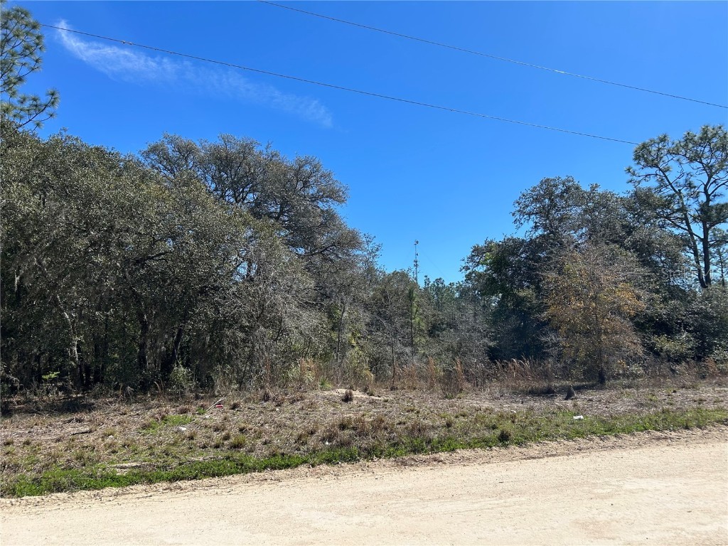 2061 SE 150th Avenue Morriston FL 32668 OM696725 image1