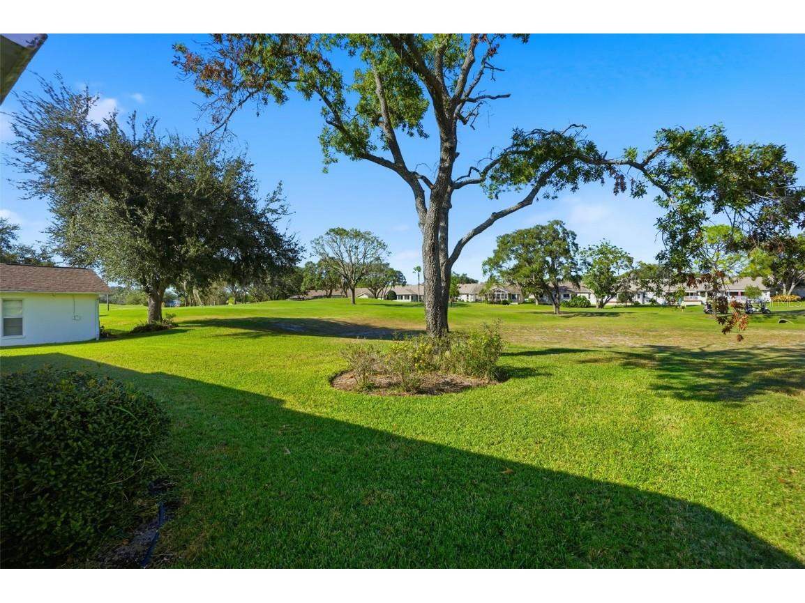 2061 Terrace View Lane Spring Hill FL 34606 O6359136 image28