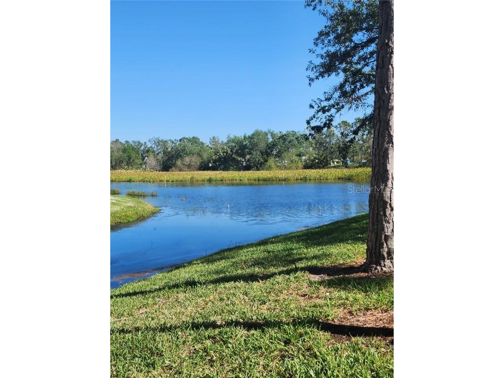 2061 Willow Hammock Circle #307 Port Charlotte FL 33983 A4557208 image1