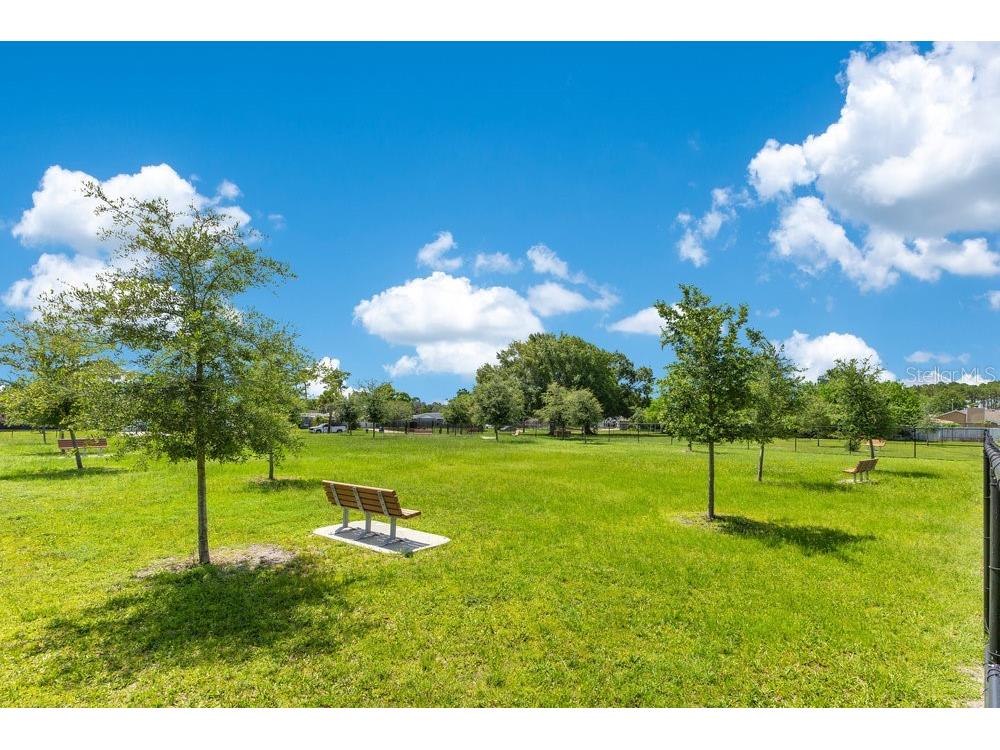 20610 Maxim Parkway Orlando FL 32833 O6411919 image23