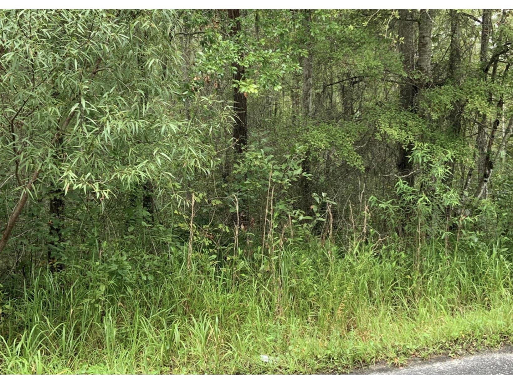 20616 NW 75th Street Alachua FL 32615 GC536181 image1