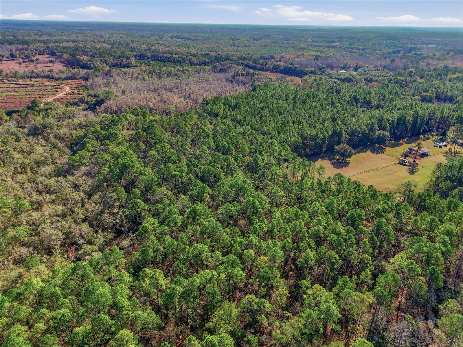 20616 NW 75th Street Alachua FL 32615 GC536181 image3