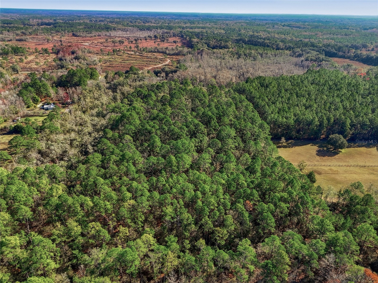 20616 NW 75th Street Alachua FL 32615 GC536181 image5