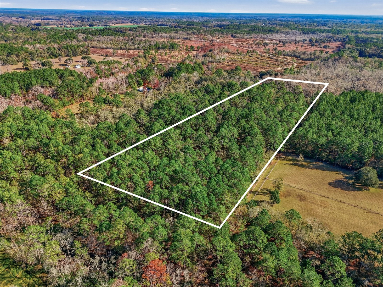 20616 NW 75th Street Alachua FL 32615 GC536181 image6