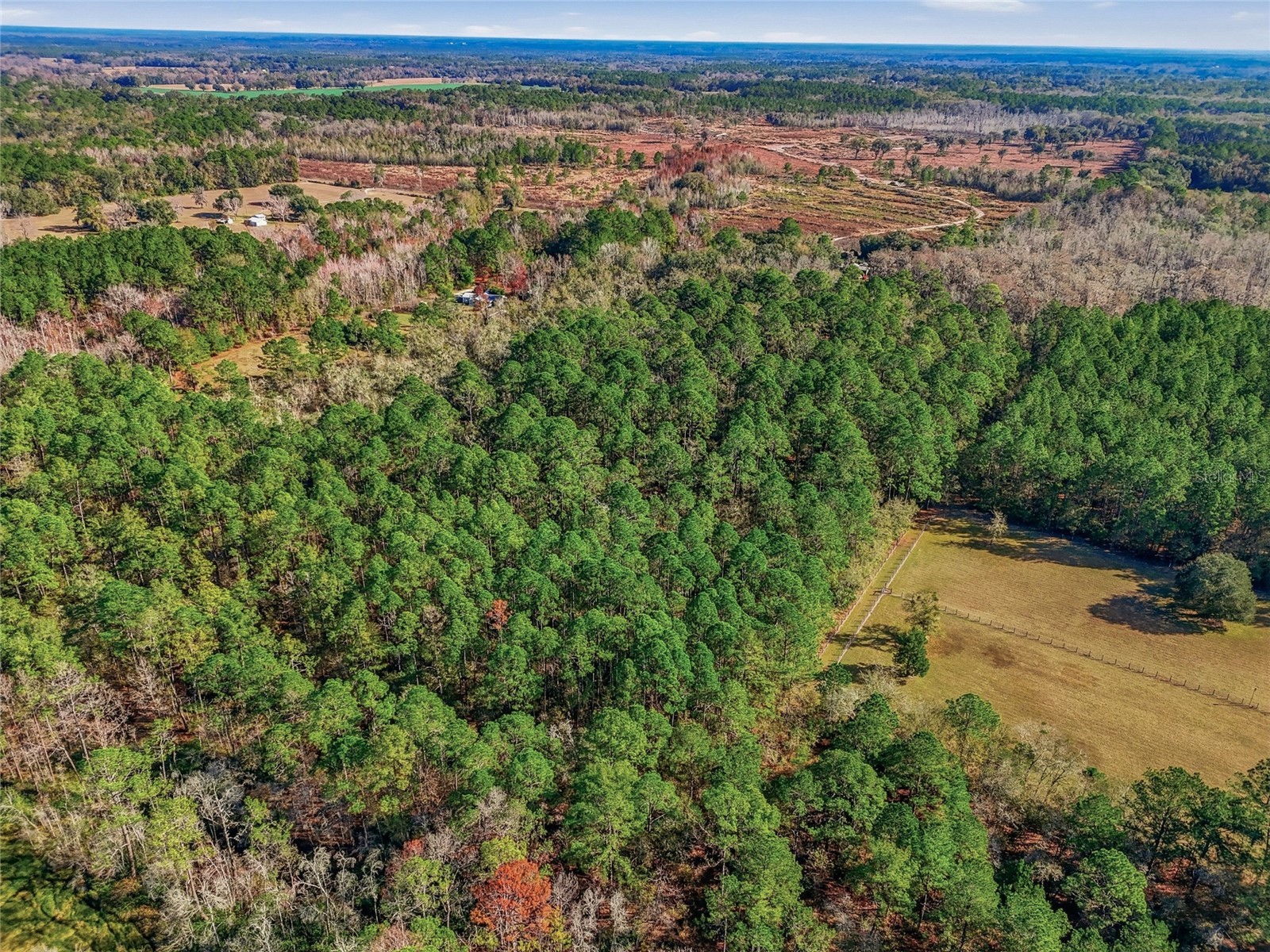 20616 NW 75th Street Alachua FL 32615 GC536181 image7