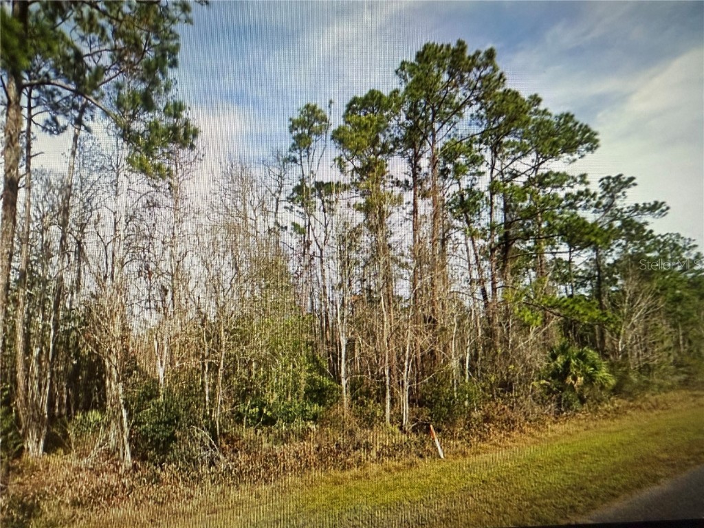 20617 E Colonial Drive Christmas FL 32709 O6340358 image13