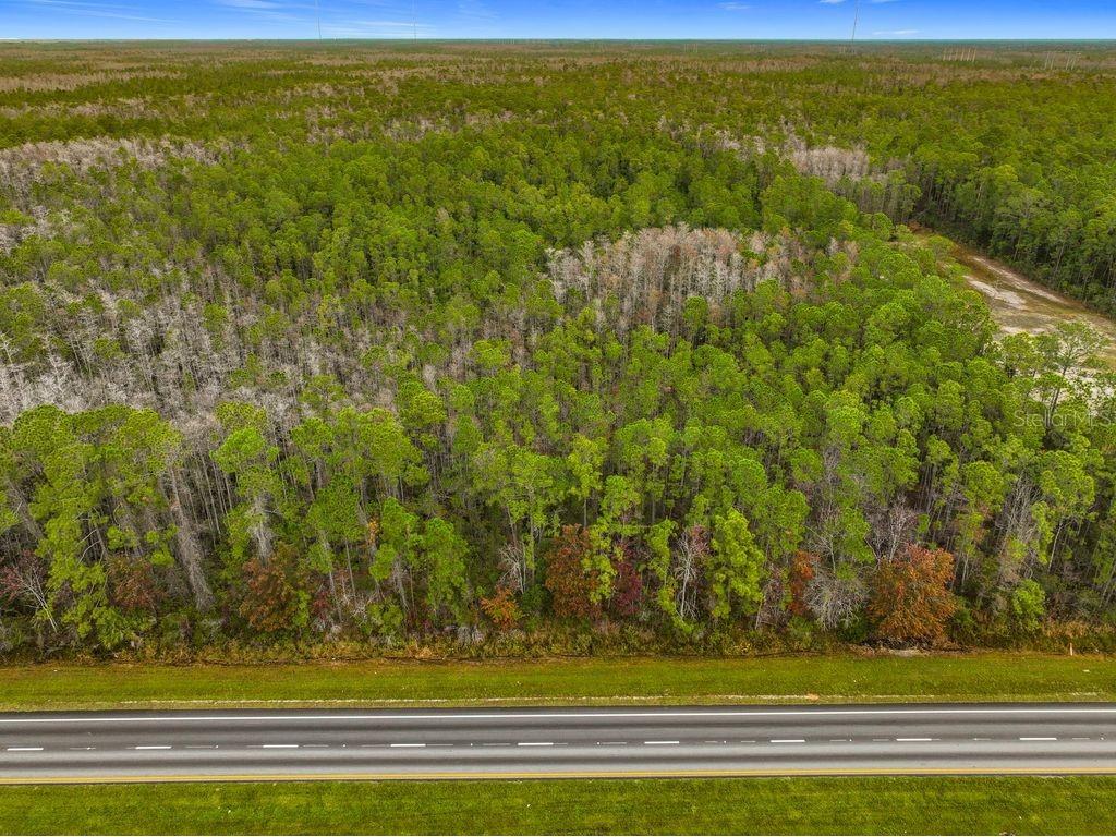 20617 E Colonial Drive Christmas FL 32709 O6340358 image5