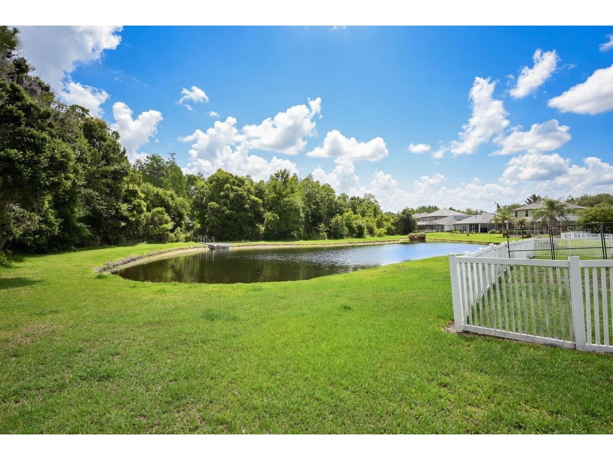 20617 Whitebud Court Tampa FL 33647 TB8513051 image15