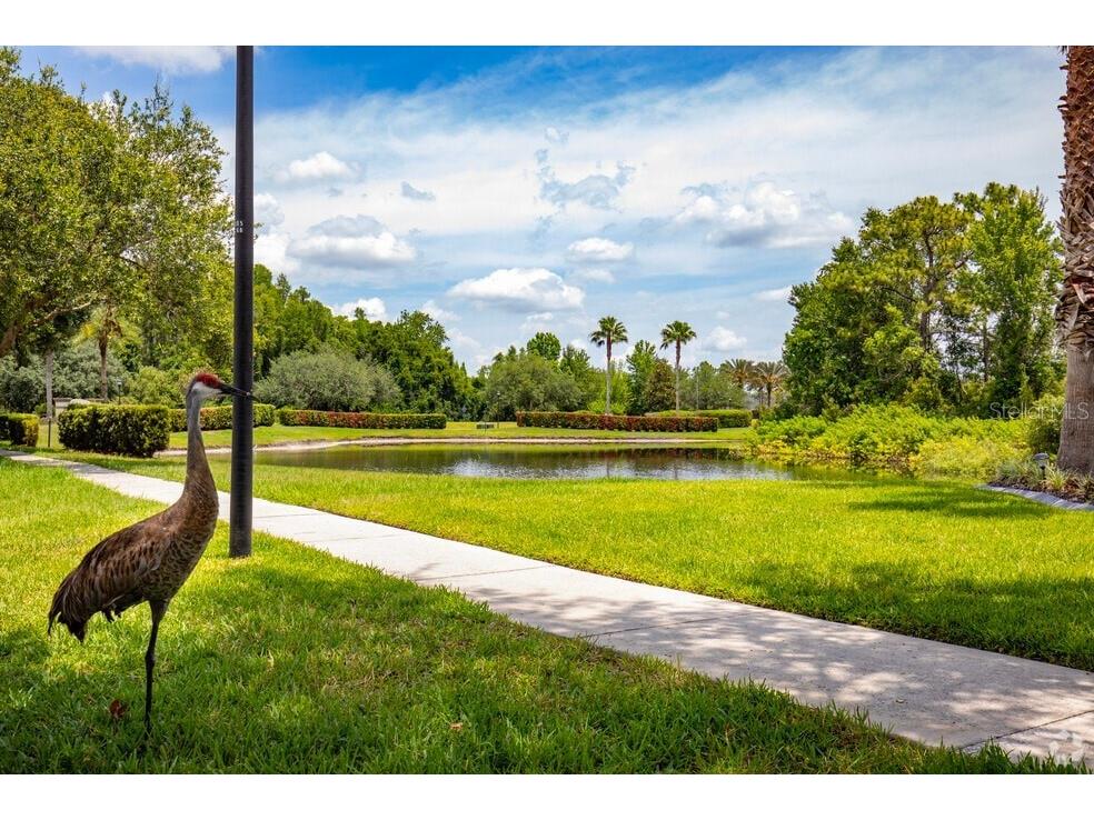 20617 Whitebud Court Tampa FL 33647 TB8513051 image16
