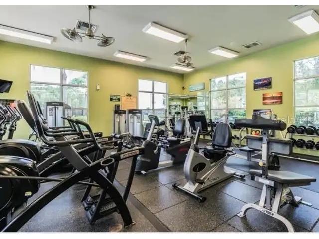 20617 Whitebud Court Tampa FL 33647 TB8513051 image19