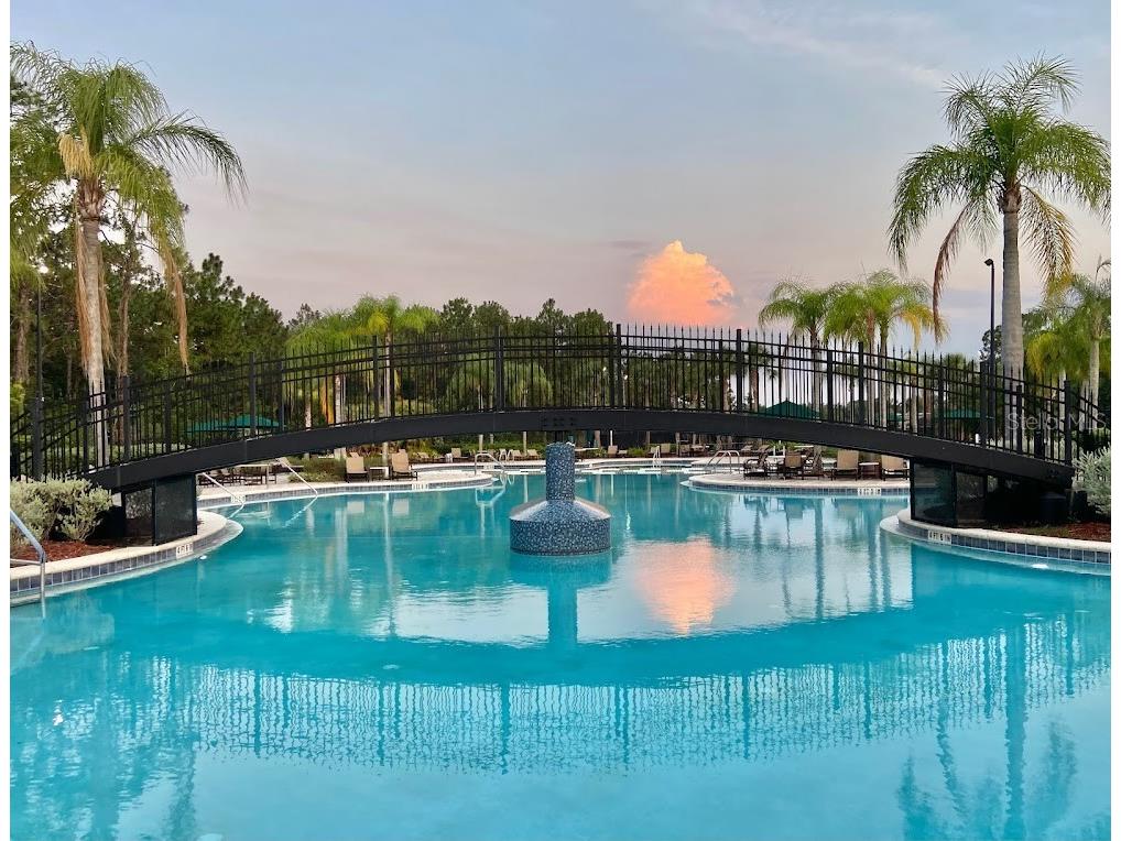 20617 Whitebud Court Tampa FL 33647 TB8513051 image22