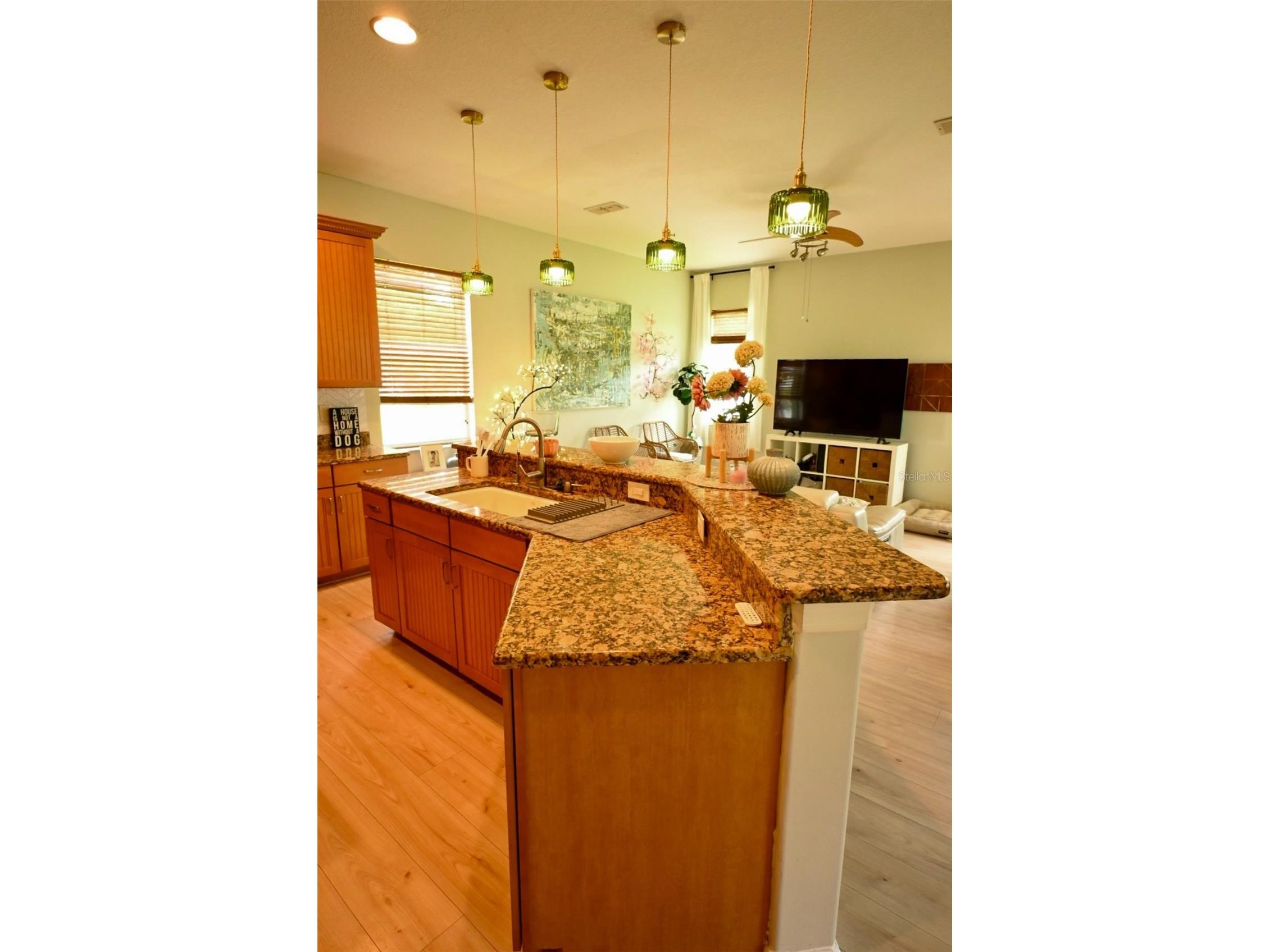 20617 Whitebud Court Tampa FL 33647 TB8513051 image5