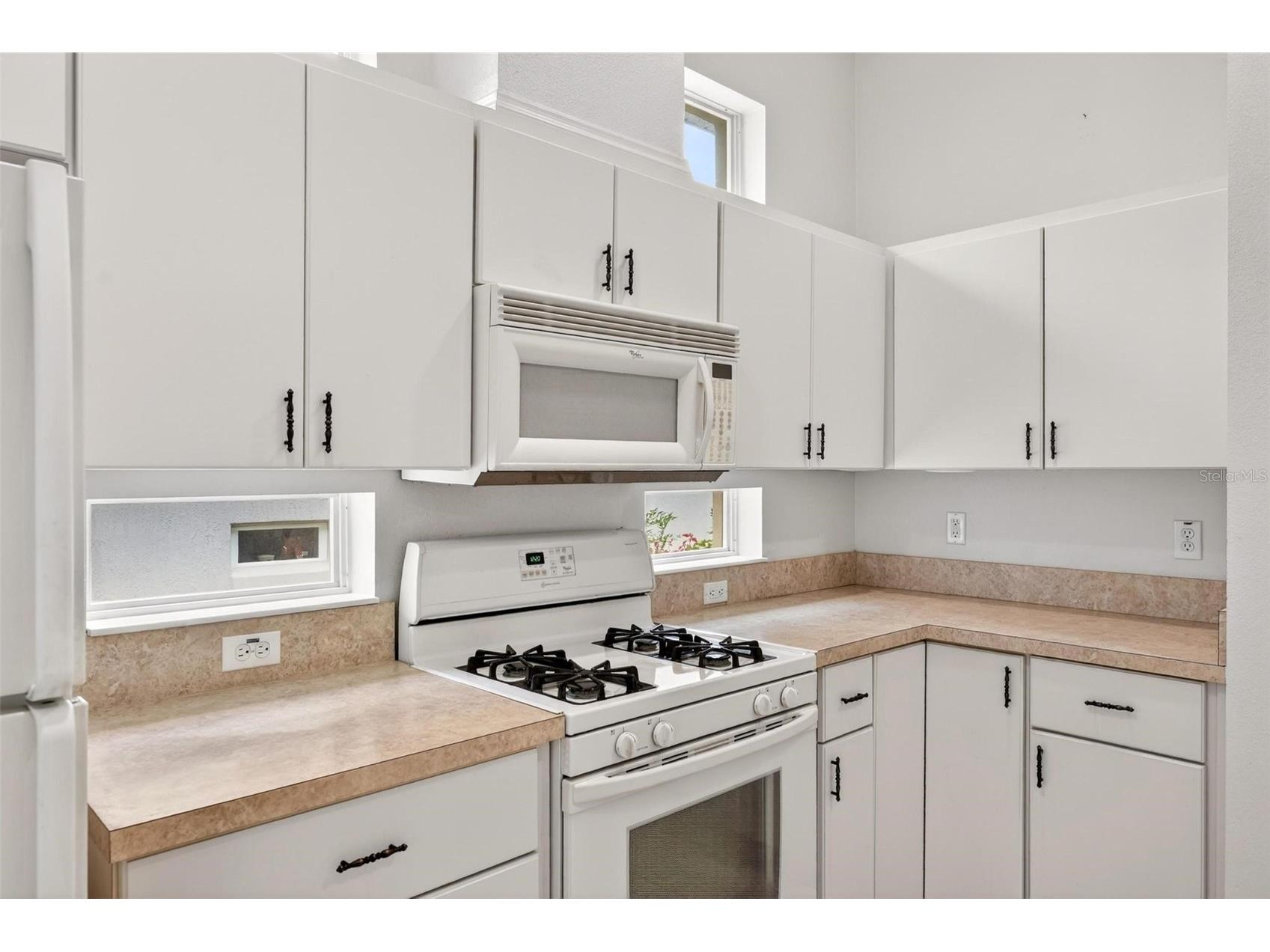 20618 Queen Alexandra Drive Leesburg FL 34748 G5113013 image13