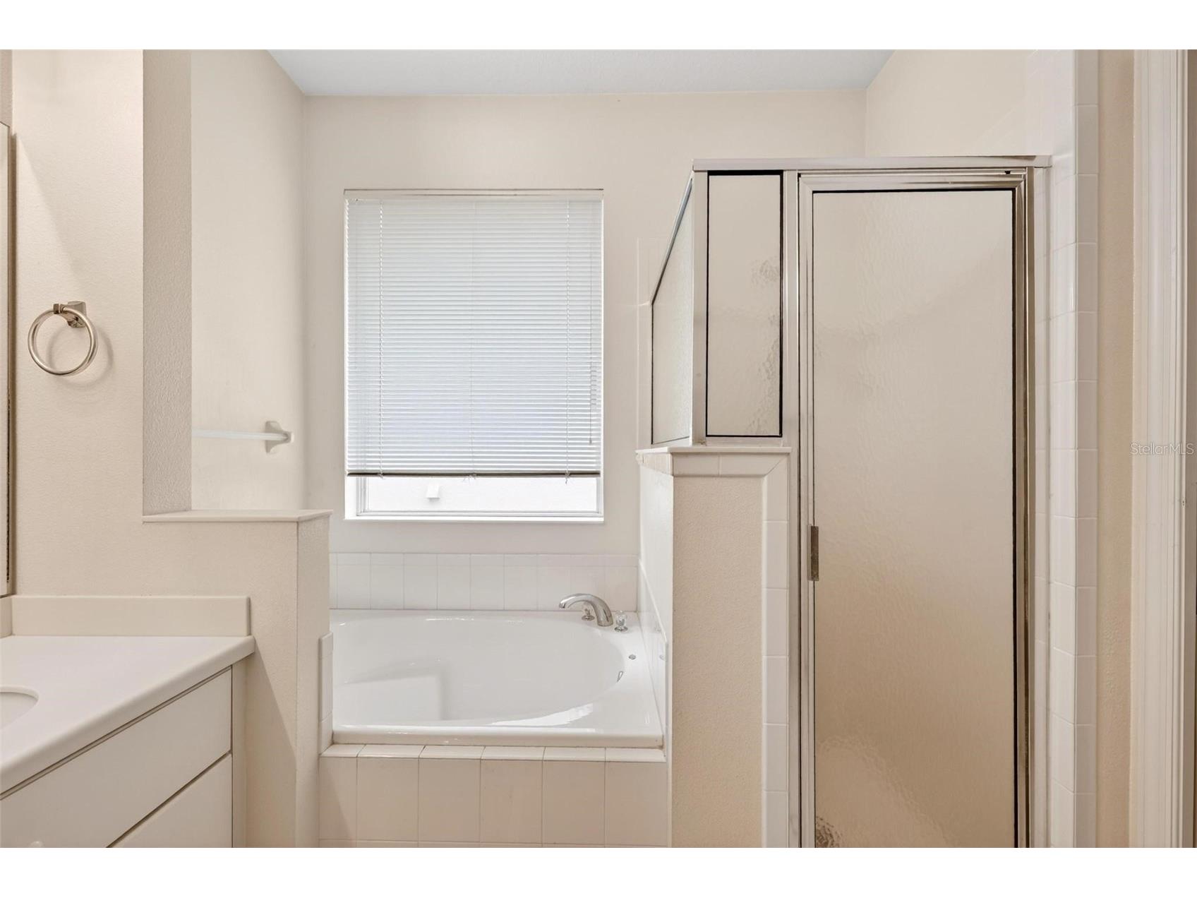 20618 Queen Alexandra Drive Leesburg FL 34748 G5113013 image29