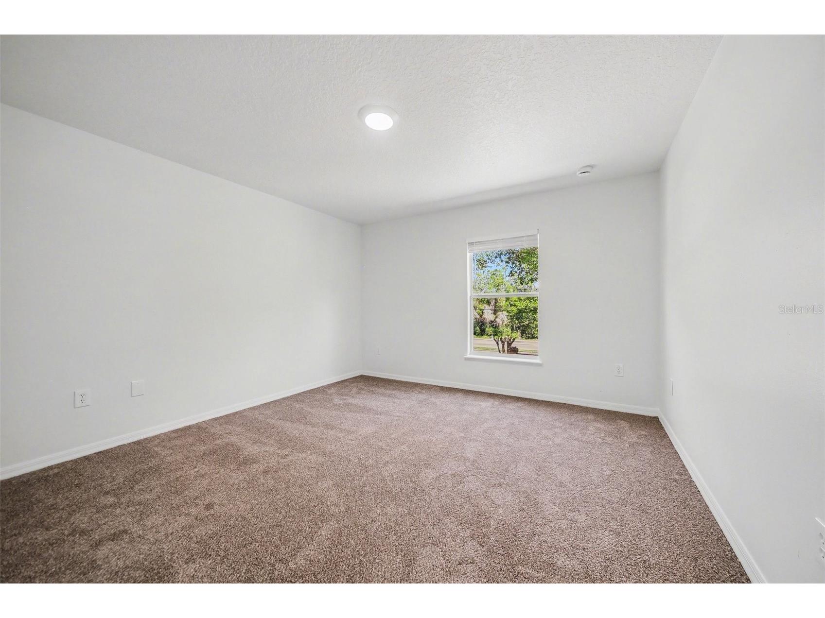 2062 El Marra Drive Ocoee FL 34761 O6400077 image13