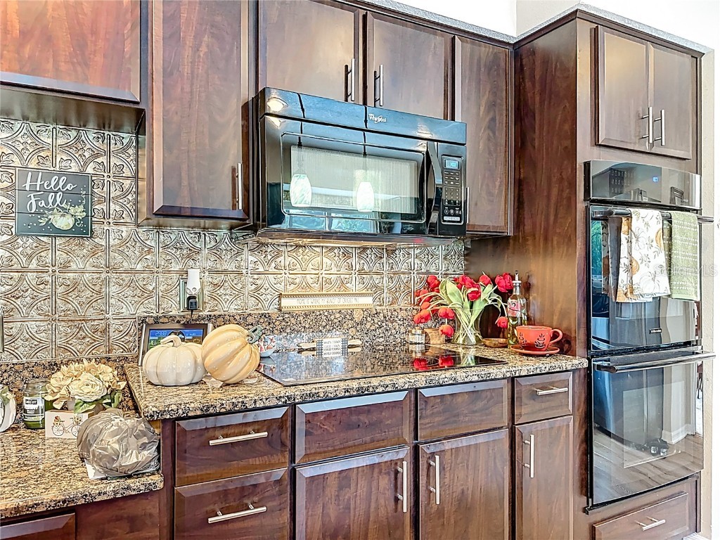 2062 Lake Marion Drive Apopka FL 32712 O6353399 image18