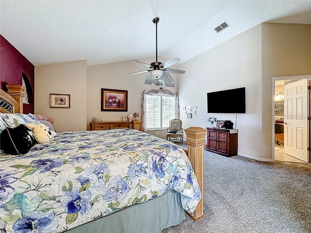 2062 Lake Marion Drive Apopka FL 32712 O6353399 image46