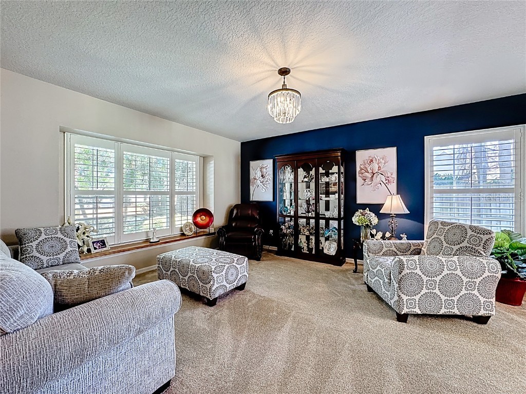 2062 Lake Marion Drive Apopka FL 32712 O6353399 image7