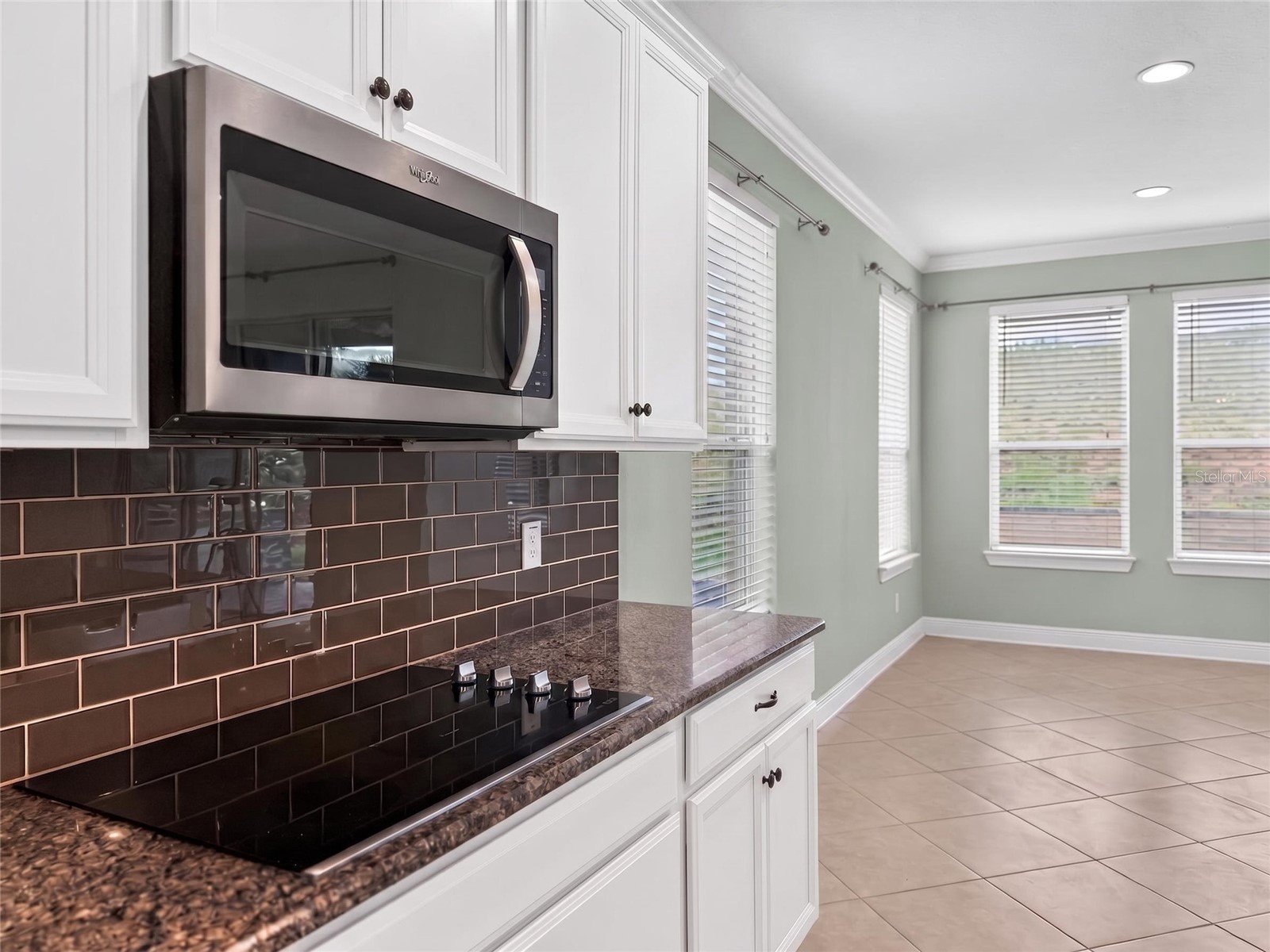 2062 Redbay Avenue Minneola FL 34715 G5113227 image14