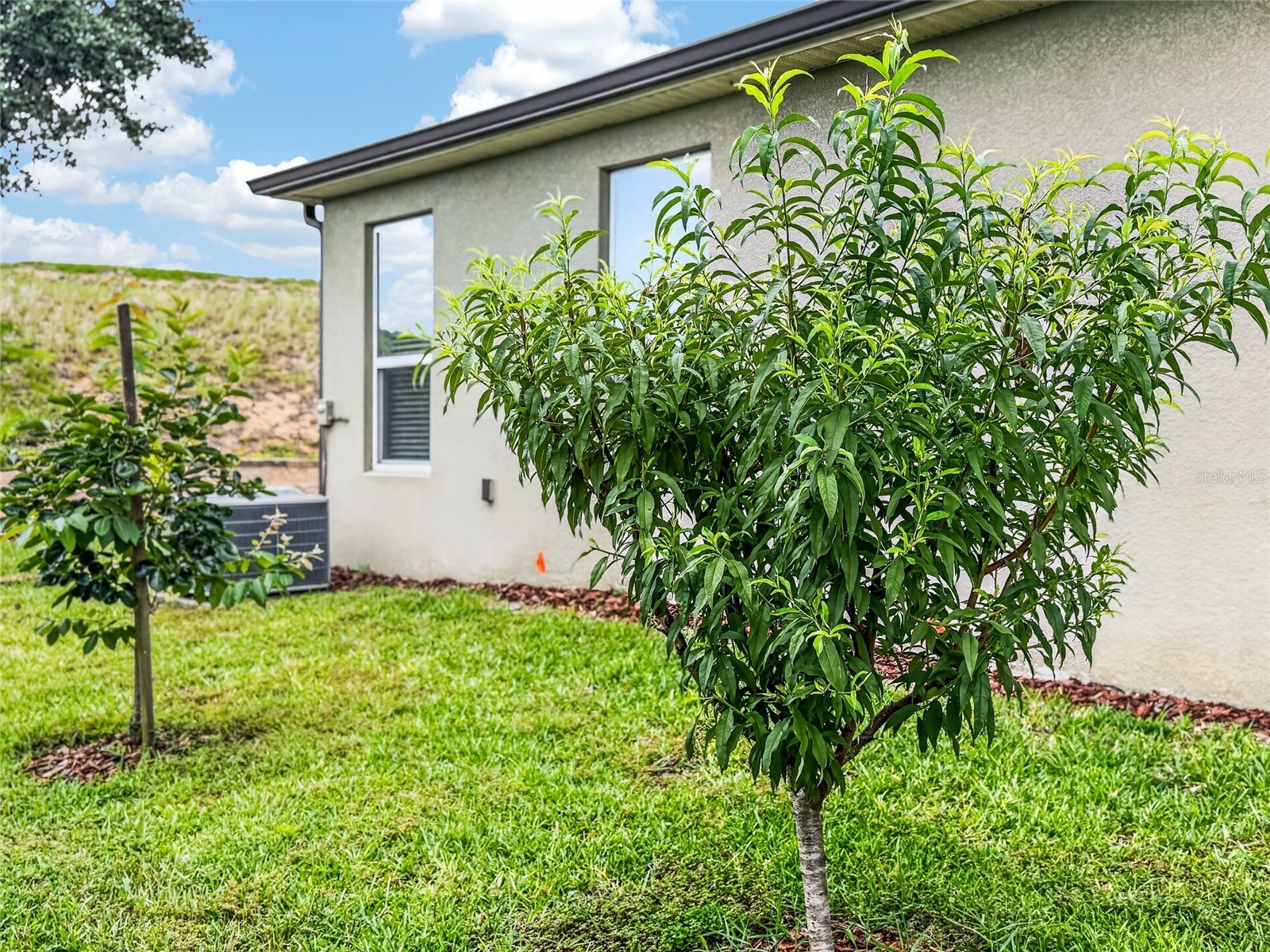 2062 Redbay Avenue Minneola FL 34715 G5113227 image38