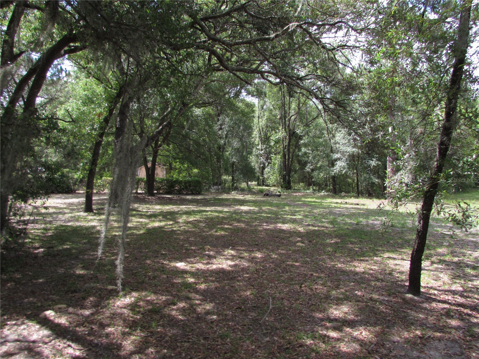 20620 SW 97th Place Dunnellon FL 34431 - RAINBOW RIVER OM726759 image35