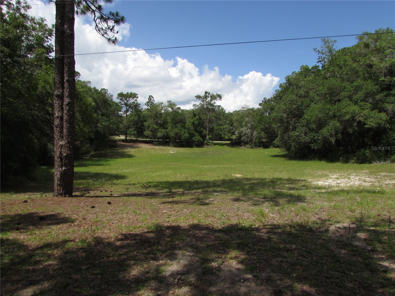 20620 SW 97th Place Dunnellon FL 34431 - RAINBOW RIVER OM726759 image36